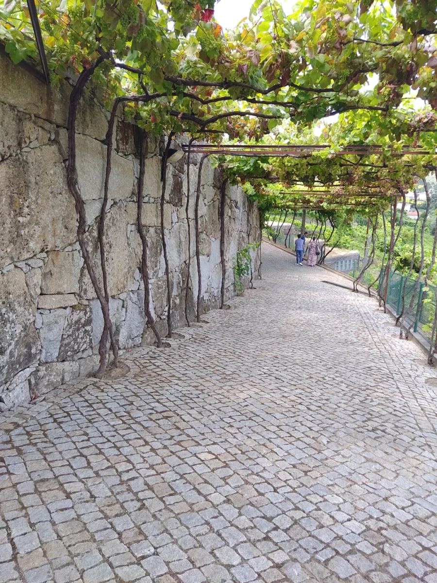 Quinta T7 para Venda em Fornos Foto 14