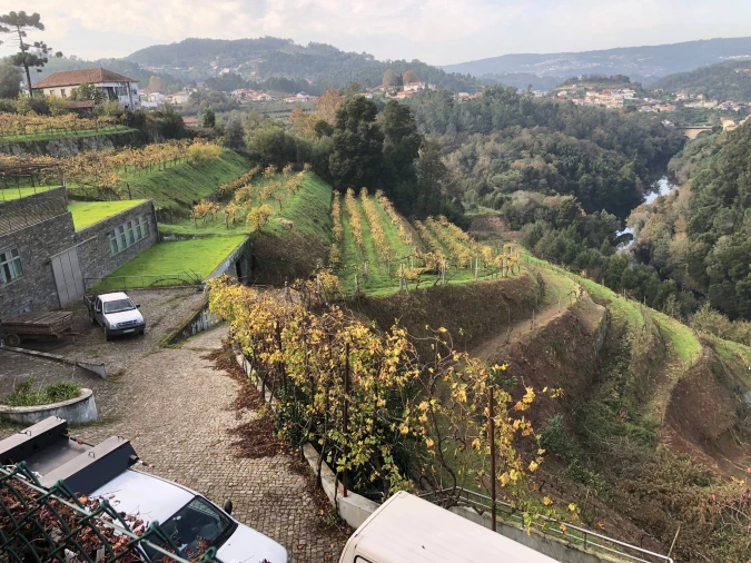 Quinta T7 para Venda em Fornos Foto 18