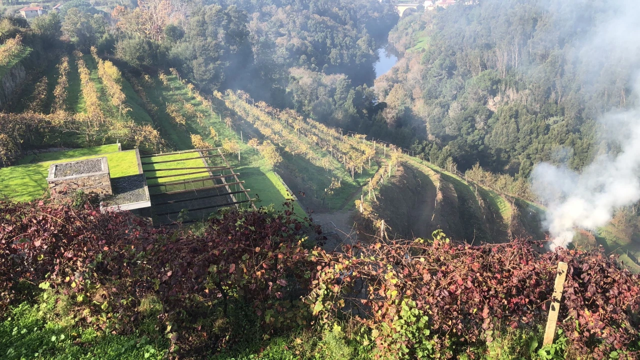 Quinta T7 para Venda em Fornos Foto 17
