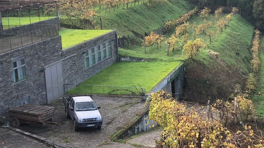 Quinta T7 para Venda em Fornos