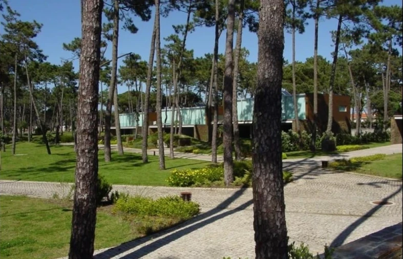 Moradia T4 para Venda em Apúlia e Fão Foto 21