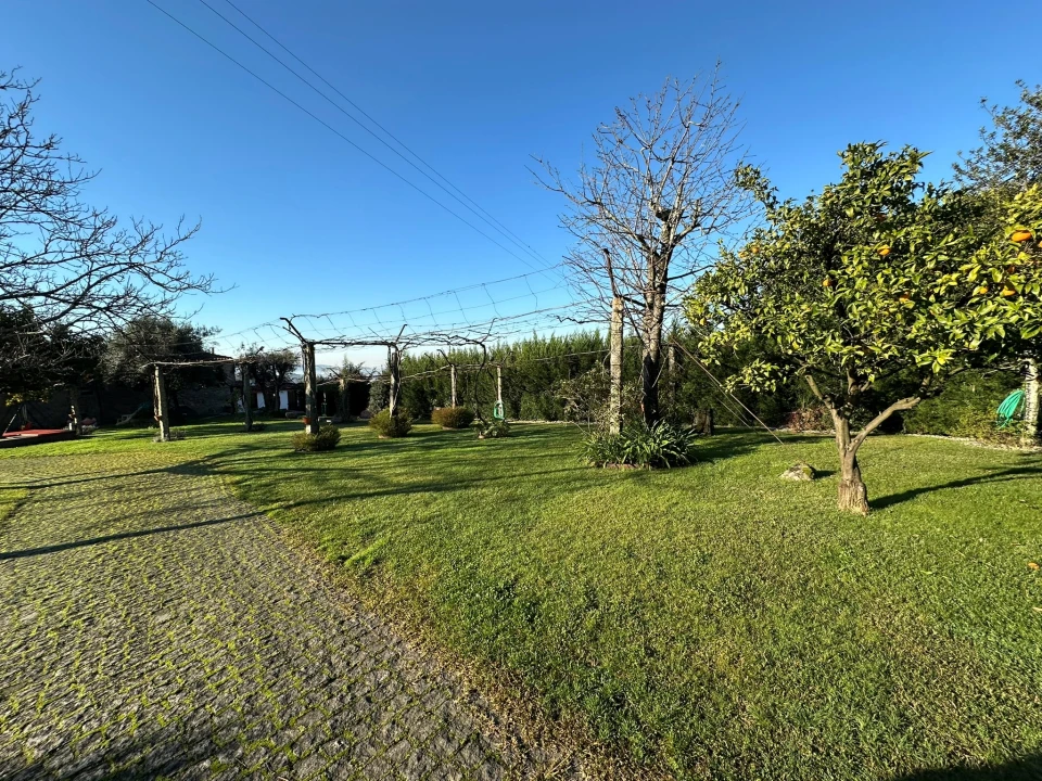 Quinta T9 para Venda em Sequeade e Bastuço (São João e Santo Estêvão) Foto 92
