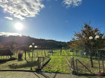 Moradia T4 para Venda em Sande Vila Nova e Sande São Clemente