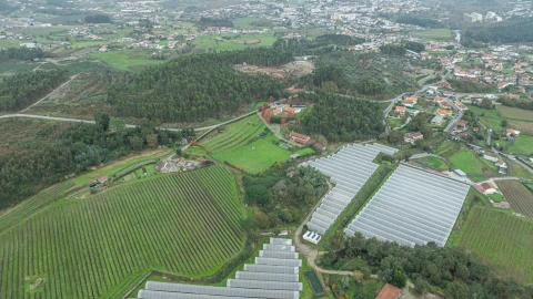 Moradia T4 para Venda em Sande Vila Nova e Sande São Clemente