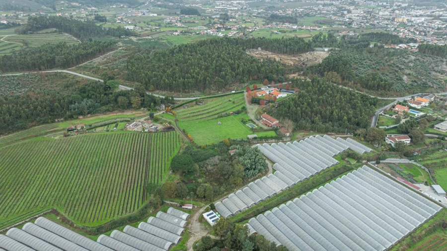 Moradia T4 para Venda em Sande Vila Nova e Sande São Clemente Foto 48