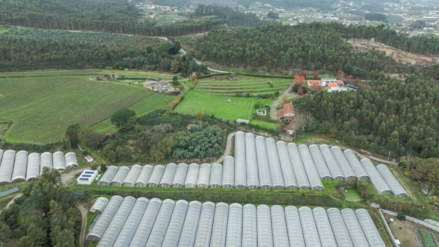 Moradia T4 para Venda em Sande Vila Nova e Sande São Clemente Foto 47