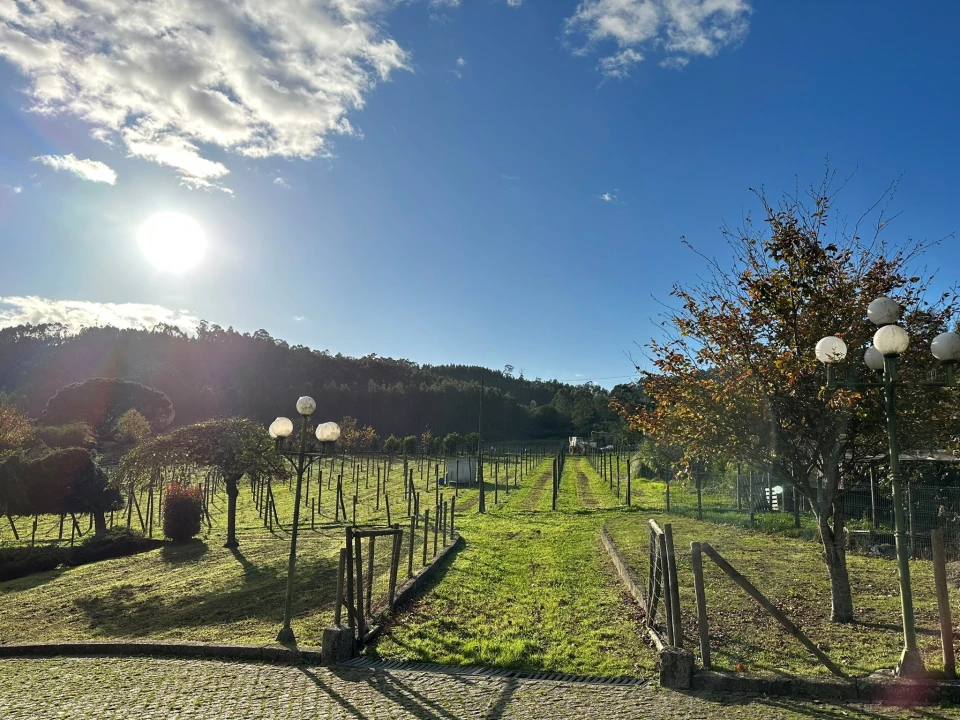 Moradia T4 para Venda em Sande Vila Nova e Sande São Clemente Foto 9