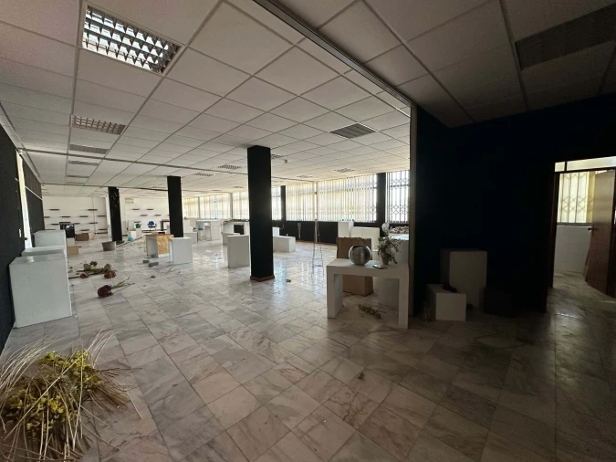 Armazém para Venda em Grijó e Sermonde Foto 4