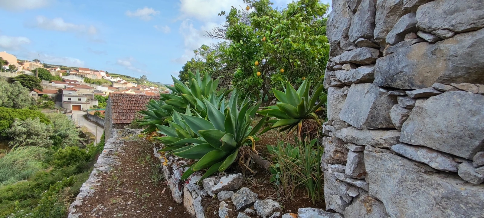 Terreno para Venda em Reguengo Grande Foto 33