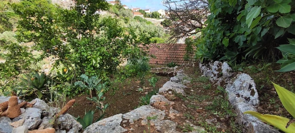 Terreno para Venda em Reguengo Grande