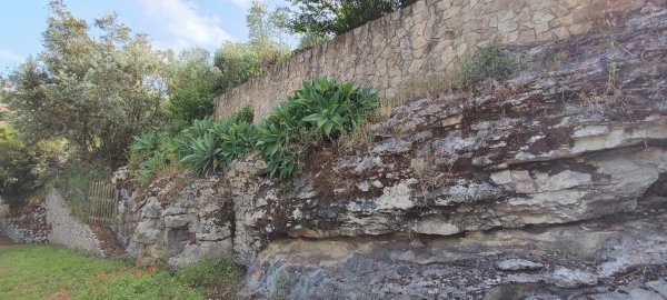 Terreno para Venda em Reguengo Grande