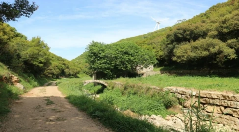 Terreno para Venda em Reguengo Grande