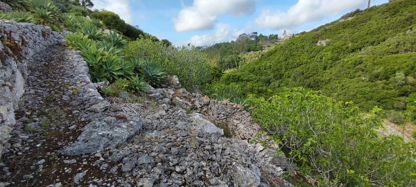 Terreno para Venda em Reguengo Grande