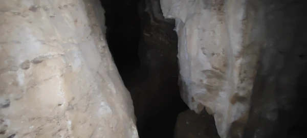 Terreno para Venda em Reguengo Grande