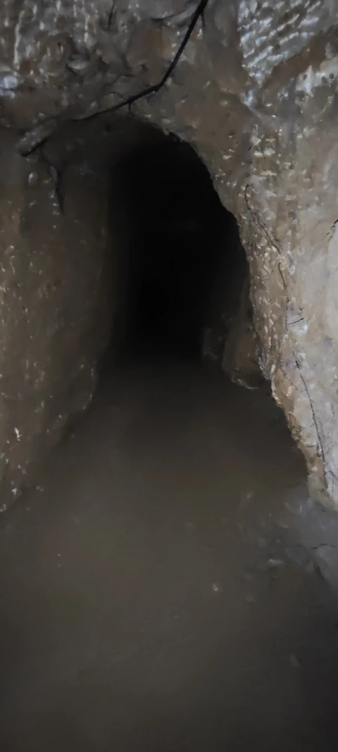 Terreno para Venda em Reguengo Grande