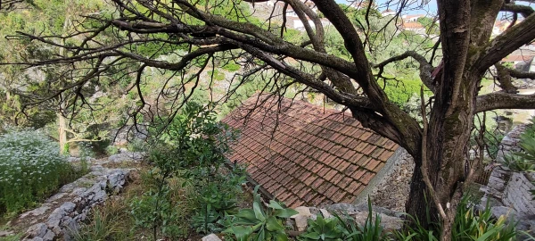 Terreno para Venda em Reguengo Grande