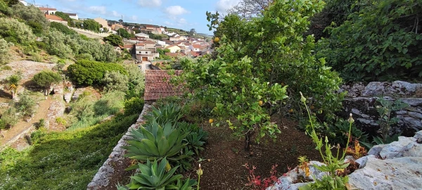 Terreno para Venda em Reguengo Grande