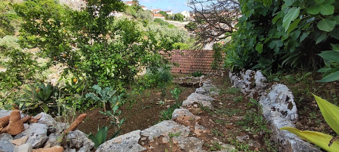 Terreno para Venda em Reguengo Grande Foto 46