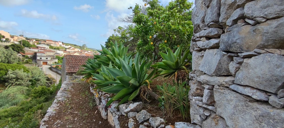 Terreno para Venda em Reguengo Grande Foto 33