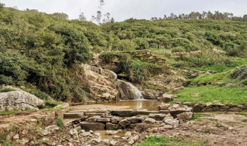 Terreno para Venda em Reguengo Grande Foto 5