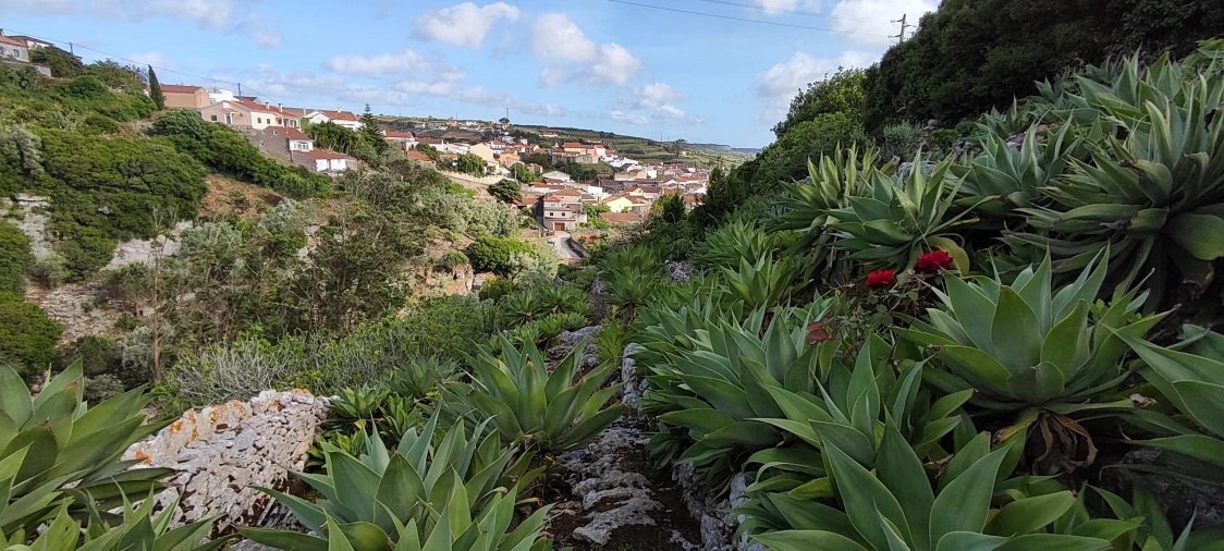 Terreno para Venda em Reguengo Grande Foto 35
