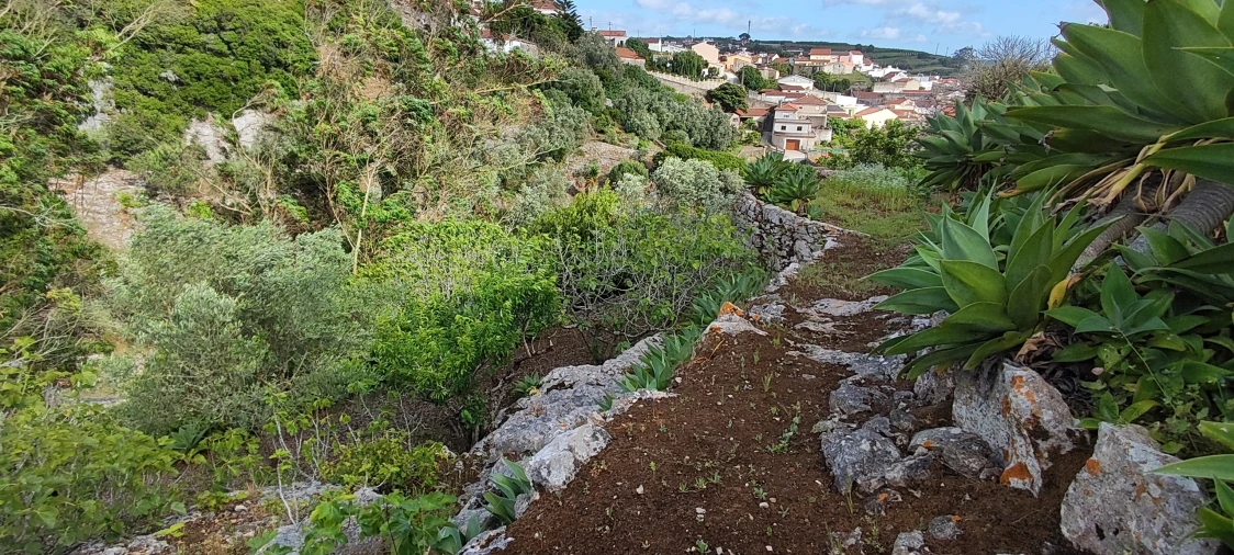Terreno para Venda em Reguengo Grande Foto 53