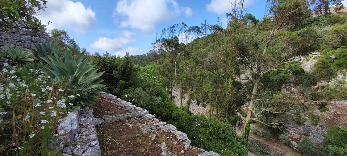 Terreno para Venda em Reguengo Grande Foto 43