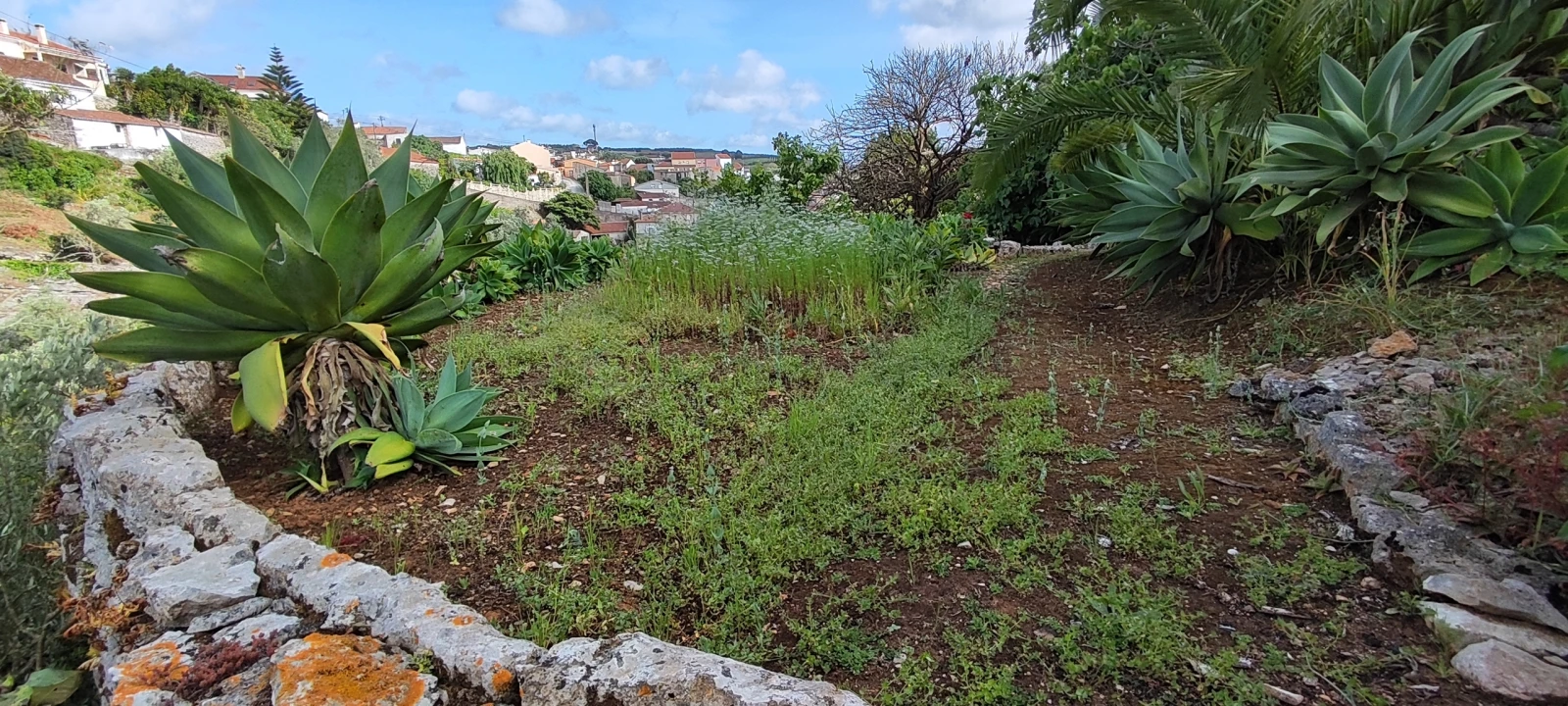 Terreno para Venda em Reguengo Grande Foto 42