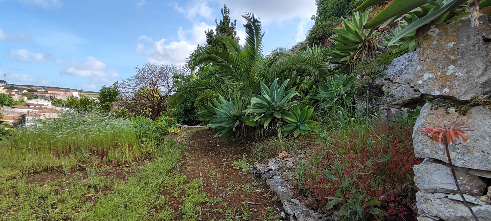 Terreno para Venda em Reguengo Grande Foto 44