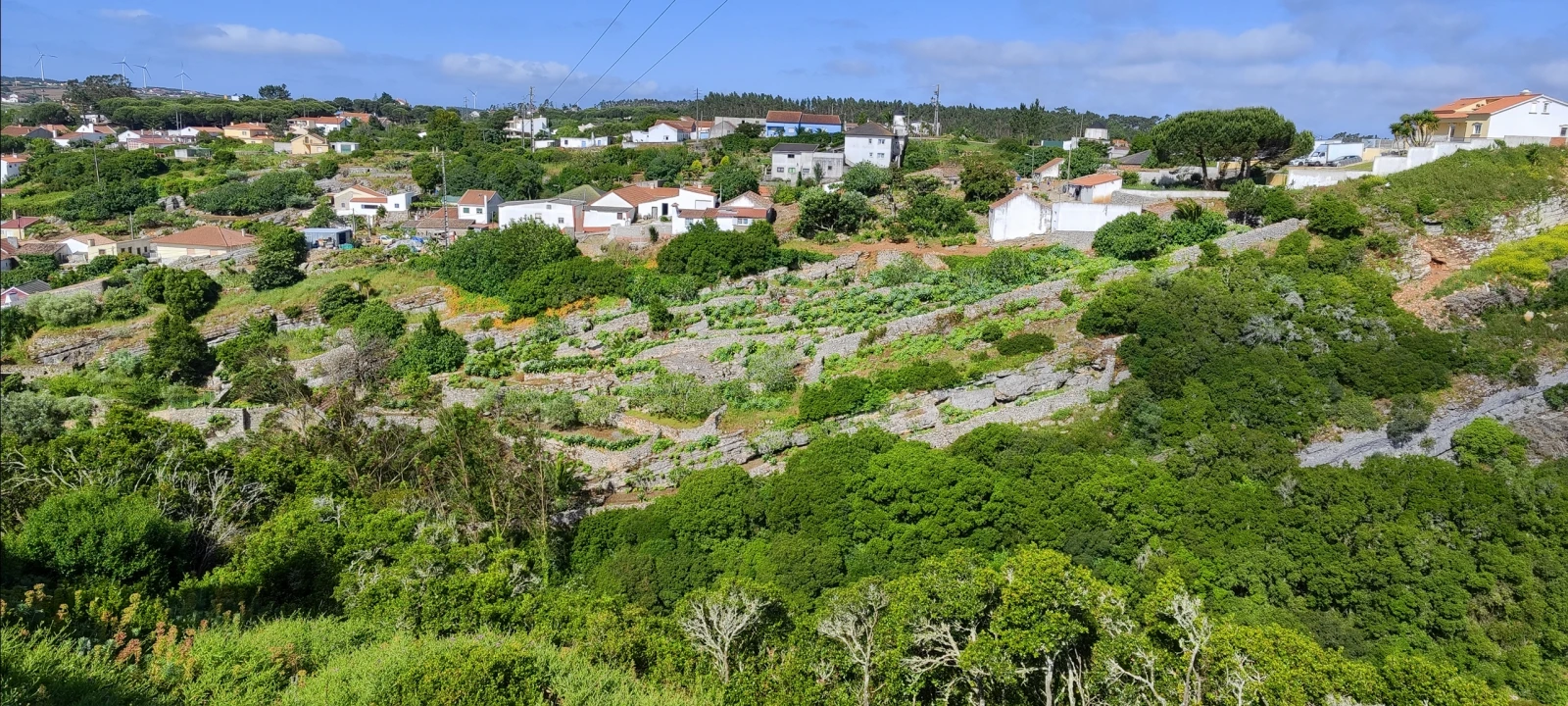 Terreno para Venda em Reguengo Grande Foto 61