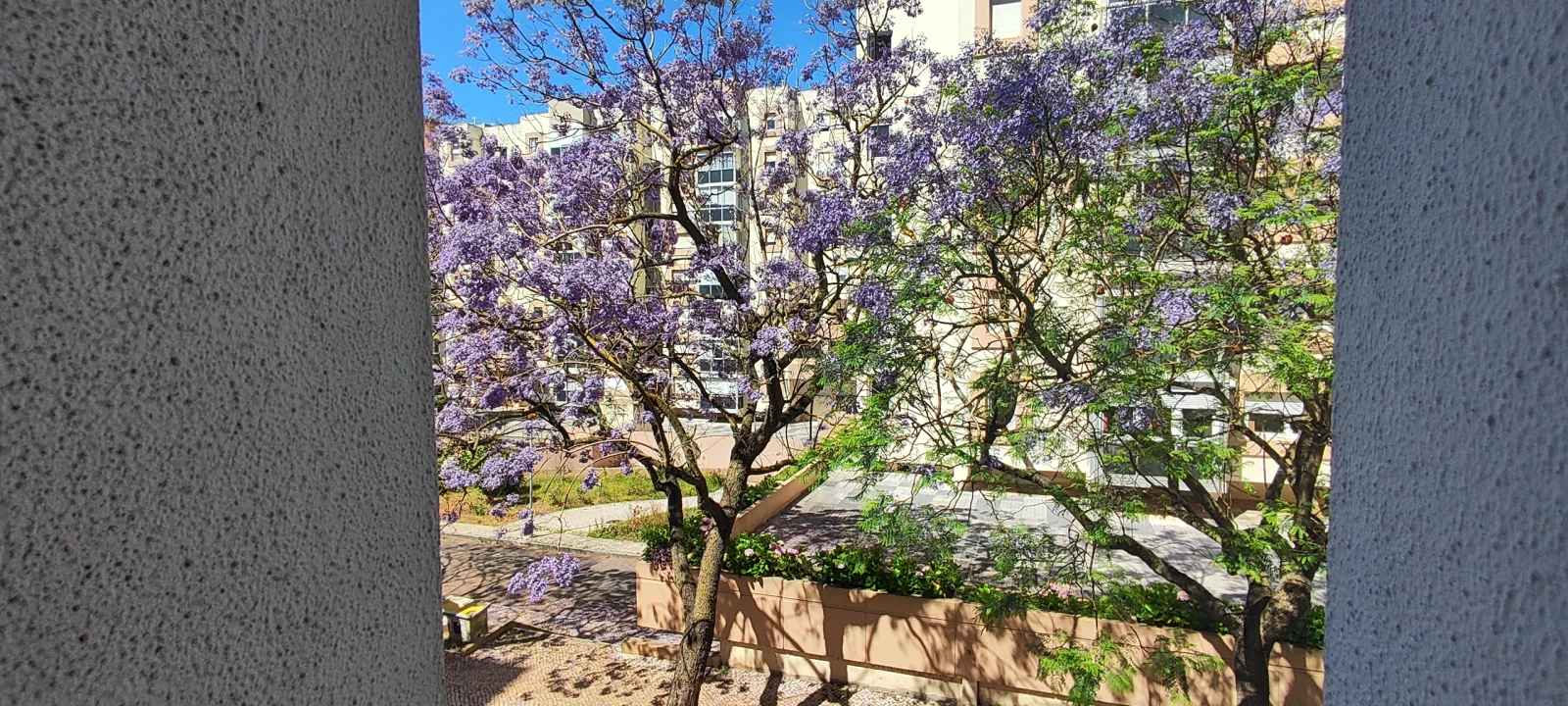 Escritório para Venda em Lumiar Foto 16