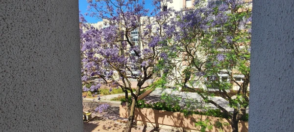 Escritório para Venda em Lumiar