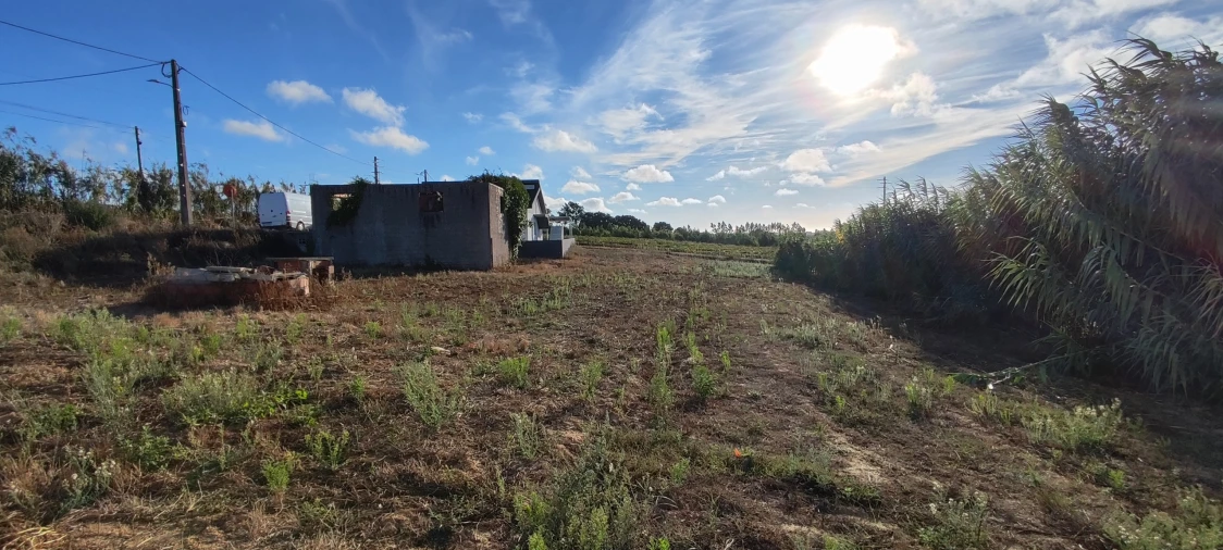 Moradia T3 para Venda em Moita dos Ferreiros Foto 36