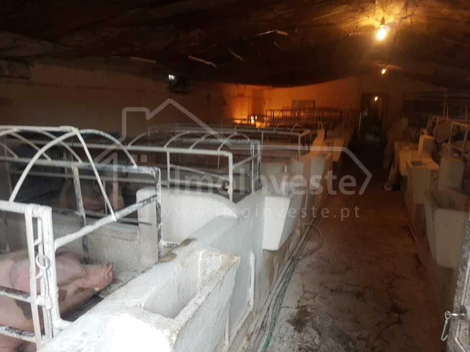 Negócio para Venda em Alcains Foto 6