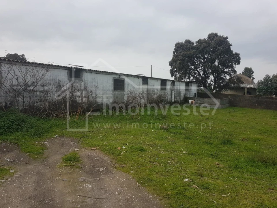 Negócio para Venda em Alcains Foto 12