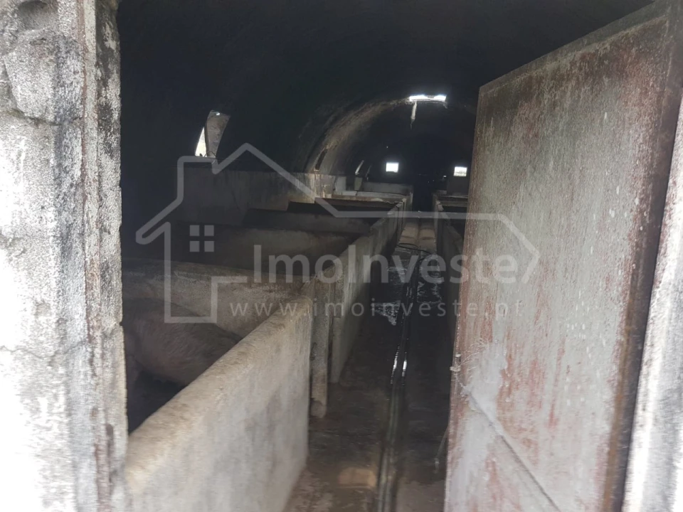 Negócio para Venda em Alcains Foto 15