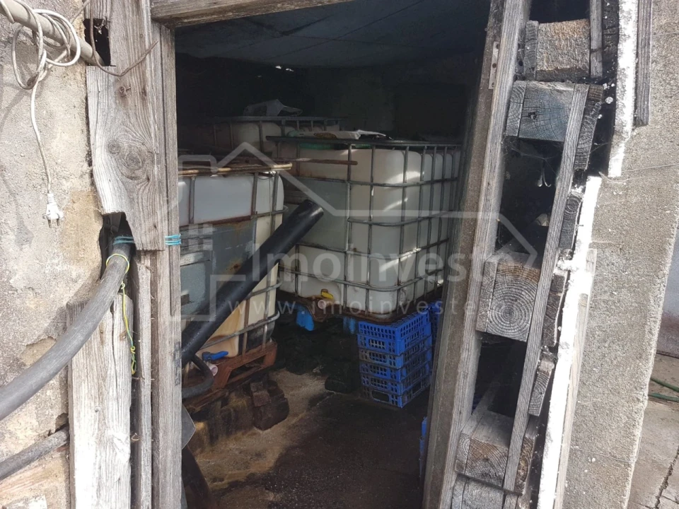 Negócio para Venda em Alcains Foto 18