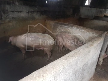 Negócio para Venda em Alcains