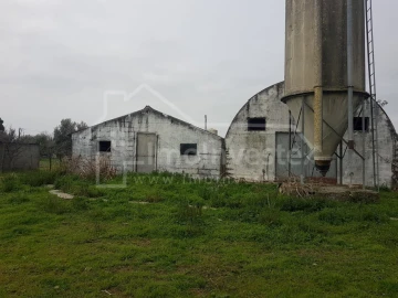 Negócio para Venda em Alcains