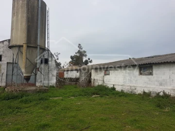 Negócio para Venda em Alcains