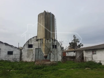 Negócio para Venda em Alcains