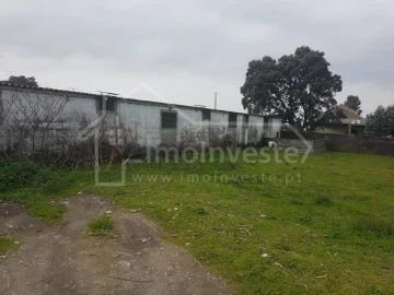 Negócio para Venda em Alcains