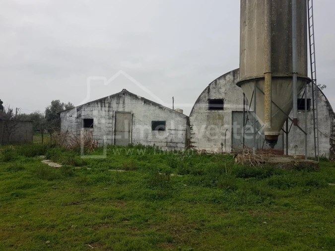Negócio para Venda em Alcains Foto 9