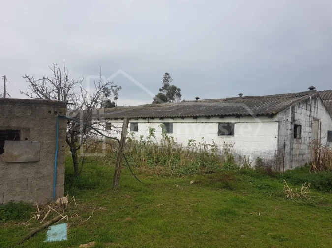Negócio para Venda em Alcains Foto 16