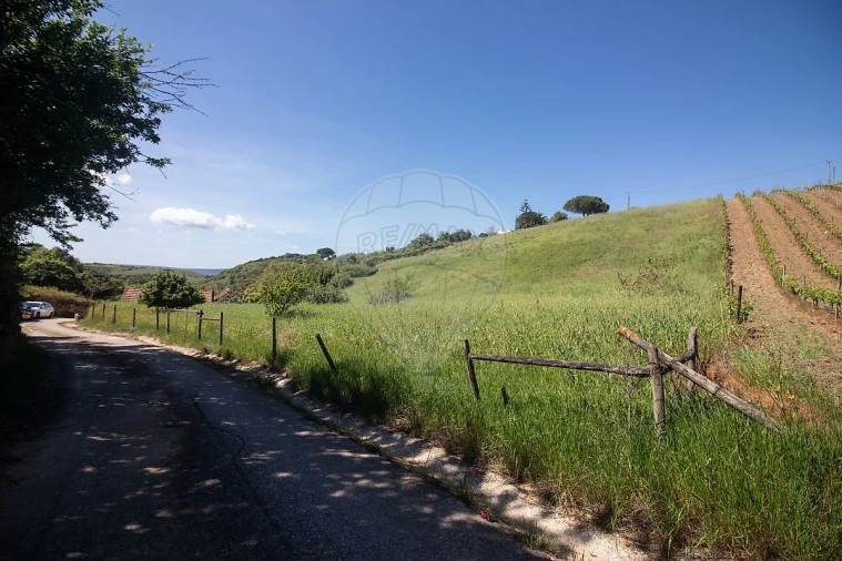 Moradia T2 para Venda em Meca Foto 30