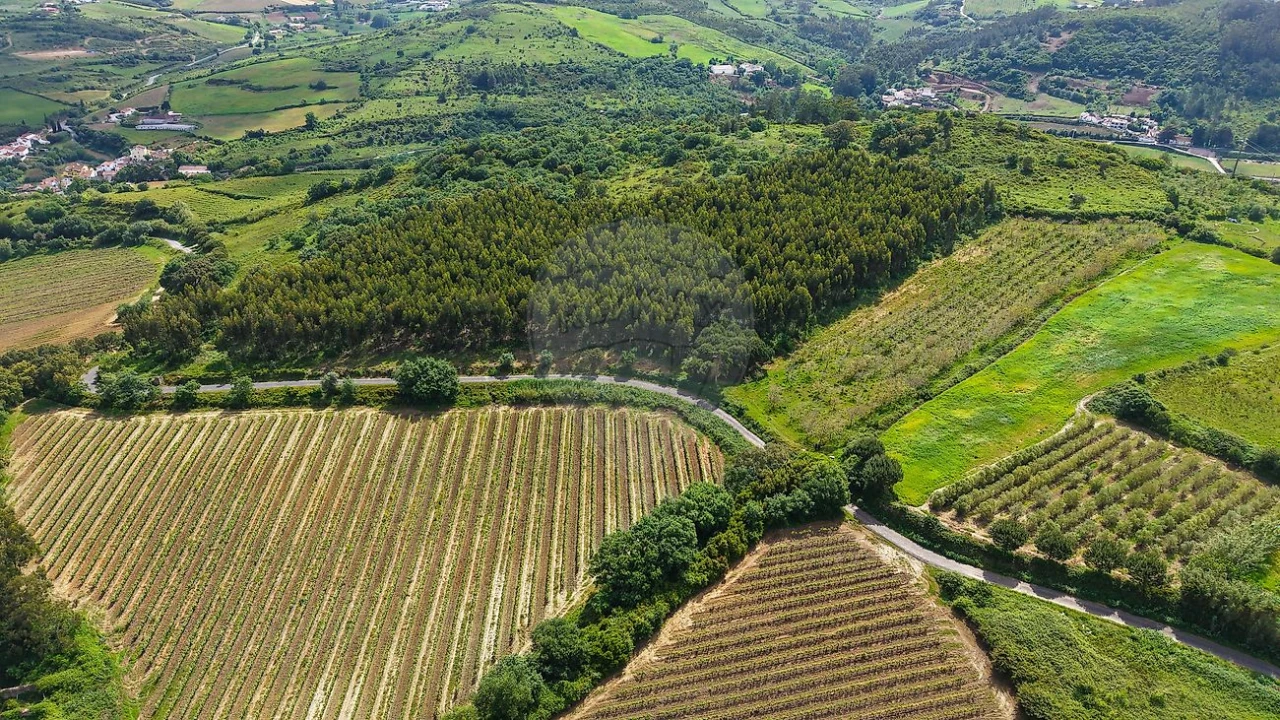 Terreno para Venda em Dois Portos e Runa Foto 1