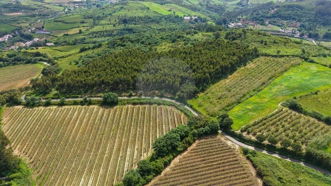 Terreno para Venda em Dois Portos e Runa