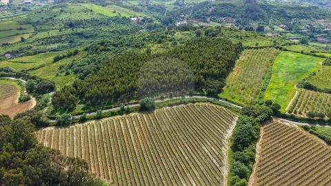 Terreno para Venda em Dois Portos e Runa