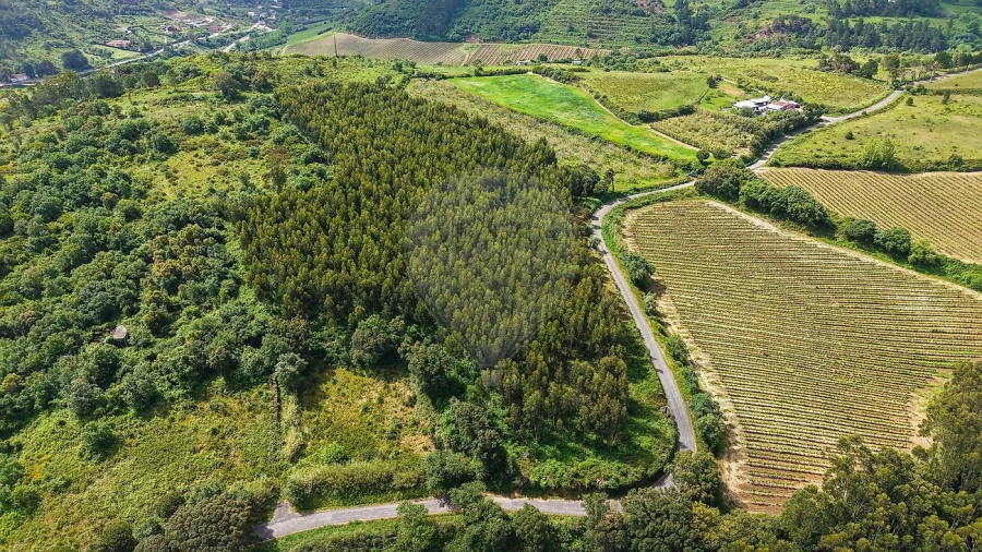 Terreno para Venda em Dois Portos e Runa Foto 5