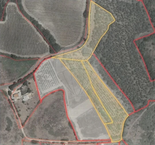 Terreno para Venda em Dois Portos e Runa Foto 6